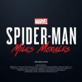 蜘蛛侠迈尔斯2.0