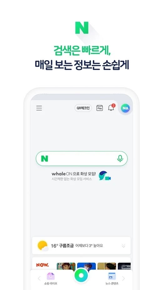 naver词典截图