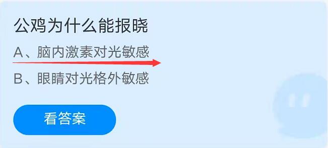 蚂蚁庄园10月9日：公鸡为什么能报晓？