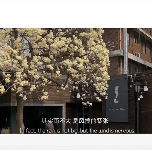 其实雨不大是风搞得紧张图片