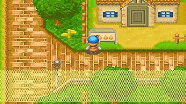 赛马牧场物语截图