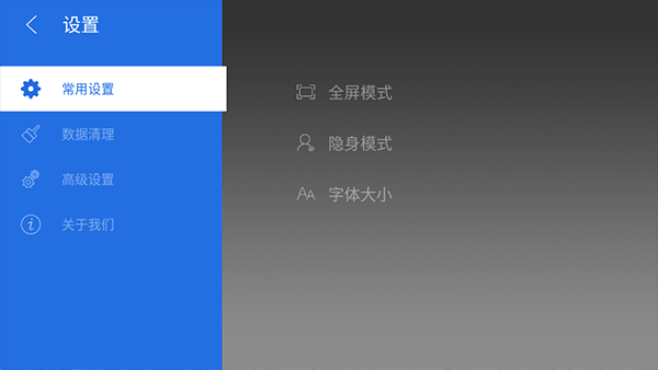 飞视浏览器截图