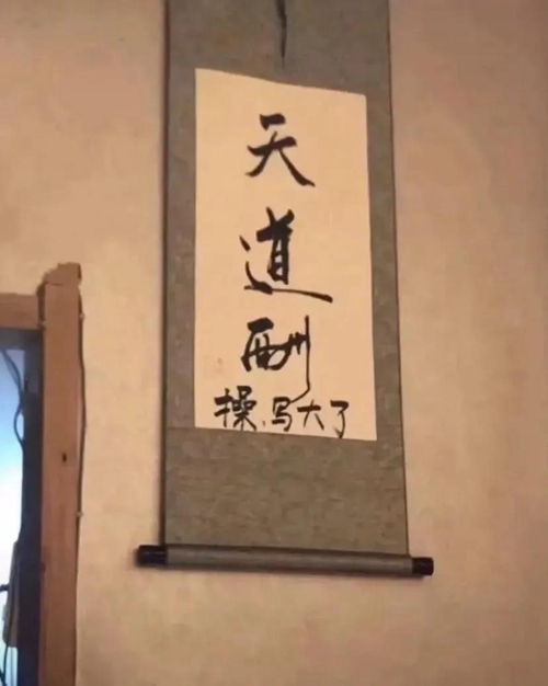 天道酬操写大了表情包