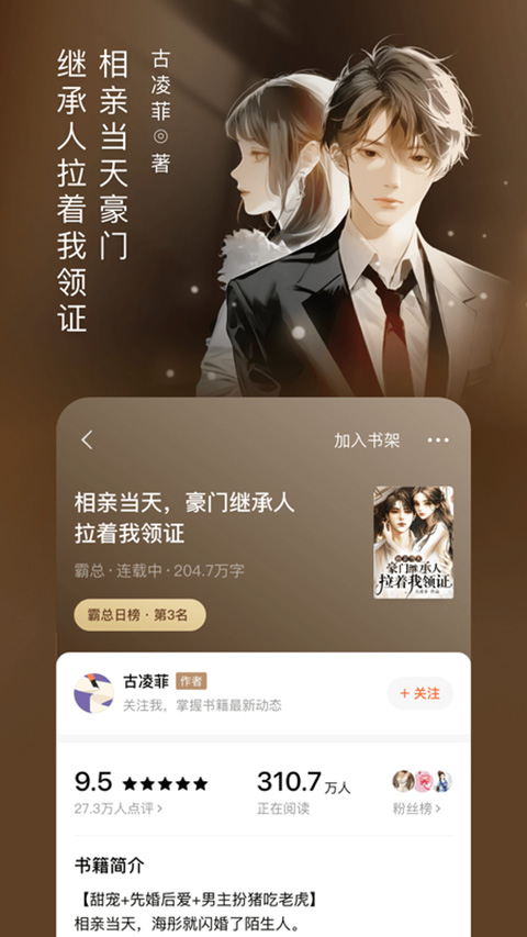 番茄免费小说截图