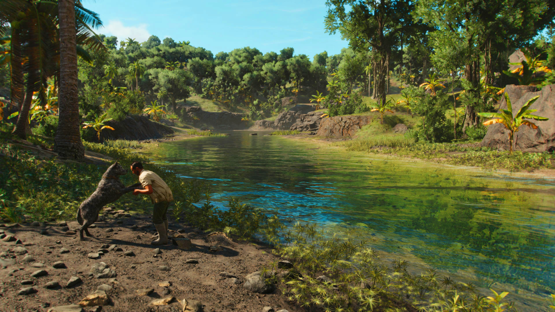 孤岛惊魂2修改器截图