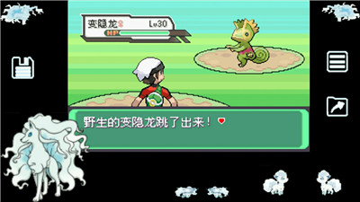 口袋妖怪绿宝石截图1