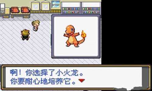 口袋妖怪心金截图3