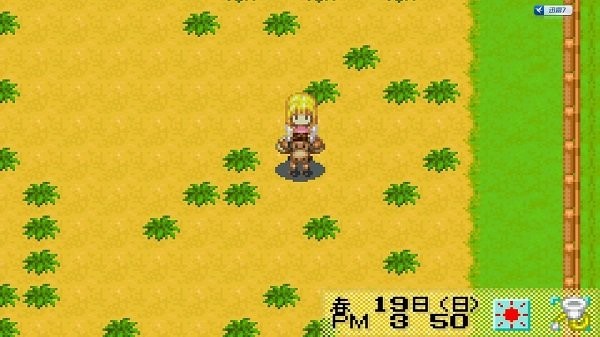 赛马牧场物语截图