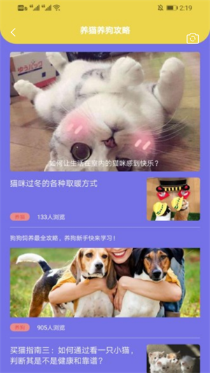 遇见你的猫截图2