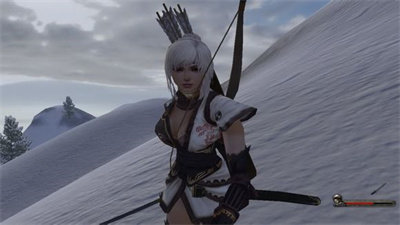 骑马与砍杀1.153截图