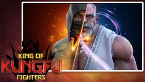 功夫之王中文版截图