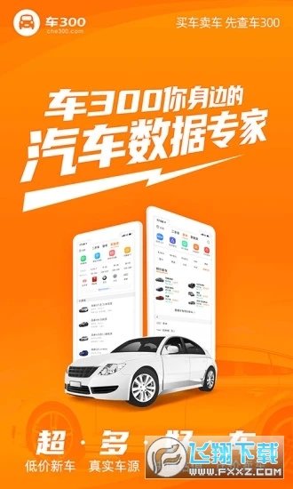 车300二手车截图1
