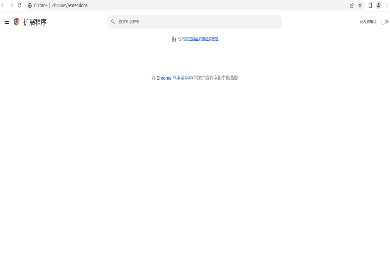谷歌浏览器正式版截图