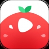番茄视频v1.3.5