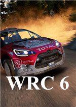 世界拉力锦标赛