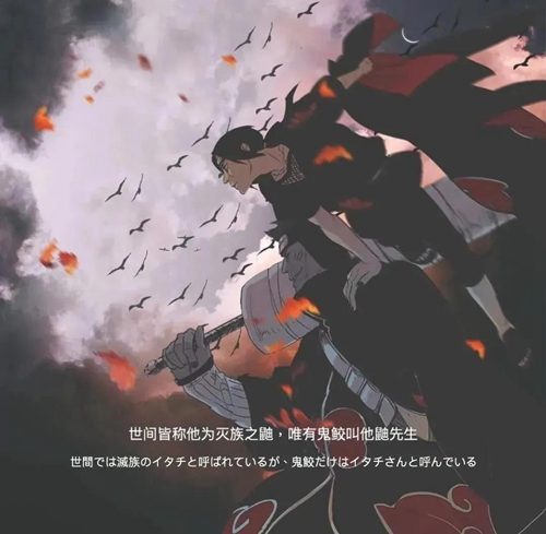 世间皆称他为灭族之鼬，唯有鬼鲛叫他鼬先生图片