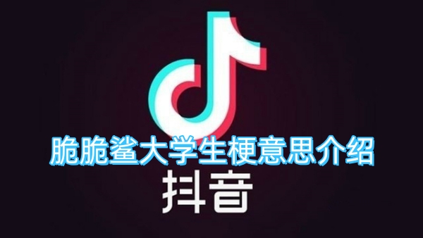 脆脆鲨大学生梗意思介绍