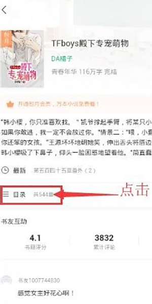 书旗小说怎么看目录