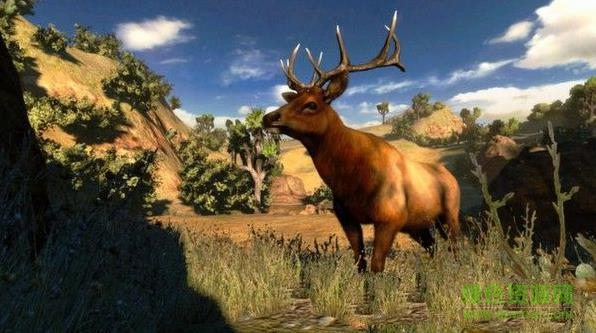 坎贝拉北美历险记截图