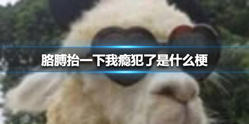 抖音胳膊抬一下我瘾犯了是什么梗