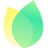 飞火动态壁纸电脑版vv2.3.2.0