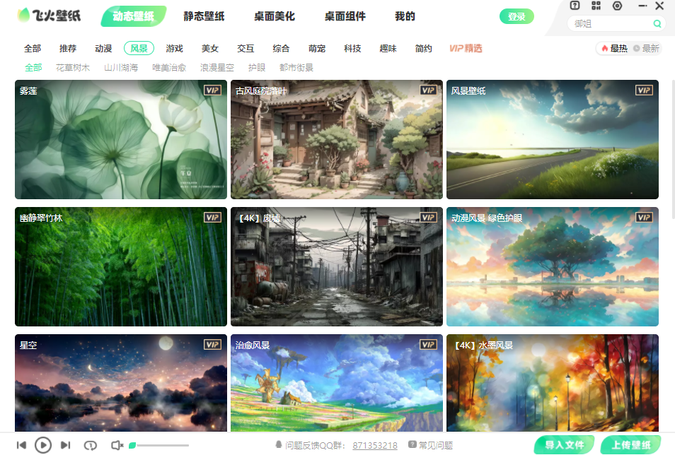 飞火动态壁纸电脑版截图