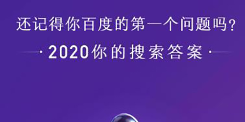 你的2020搜索账单是什么意思
