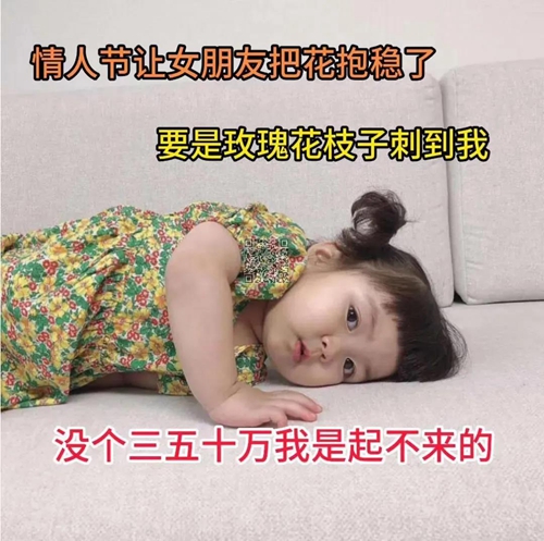 情人节让女朋友把花抱稳了表情包