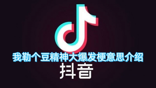 我勒个豆精神大爆发梗意思介绍