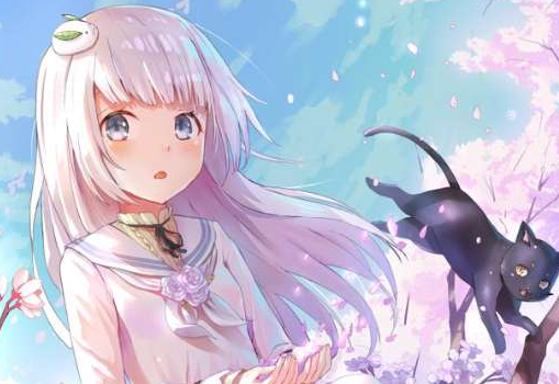 黄桃书屋教程怎么进