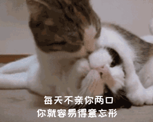 每天不亲你两口你就容易得意忘形表情包