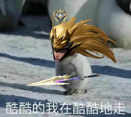 酷酷的我在酷酷的走图片