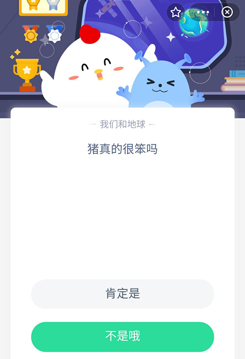 猪真的很笨吗 支付宝蚂蚁庄园8月12日答案