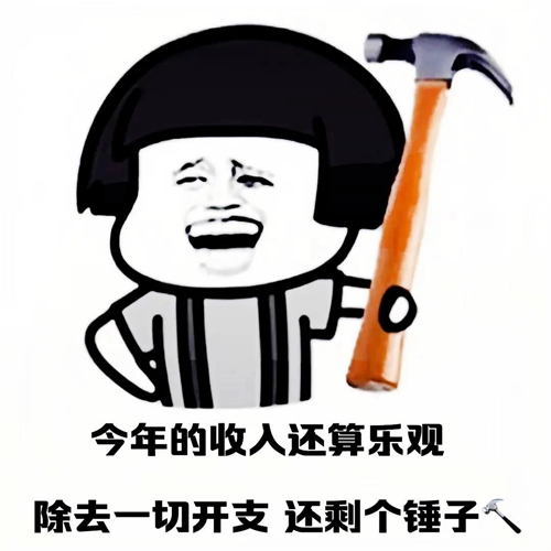 今年的收入还算乐观除去一切开支还剩个锤子表情包