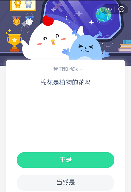 棉花是植物的花吗  支付宝蚂蚁庄园7月29日答案