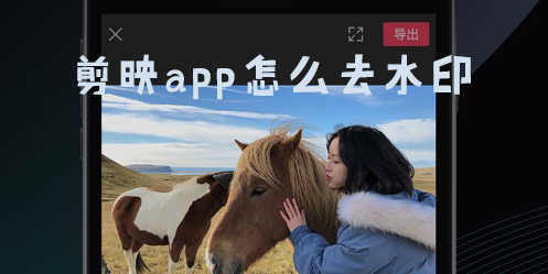 剪映app怎么去水印