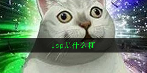 抖音lsp是什么梗