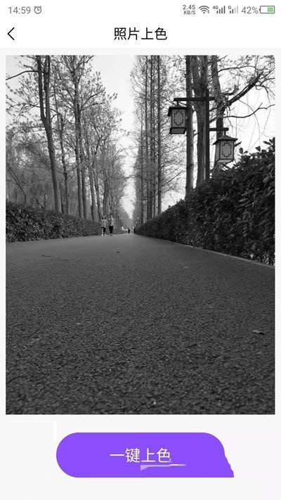 照片上色截图