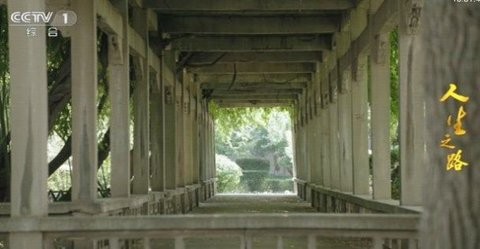 海星TV手机版截图