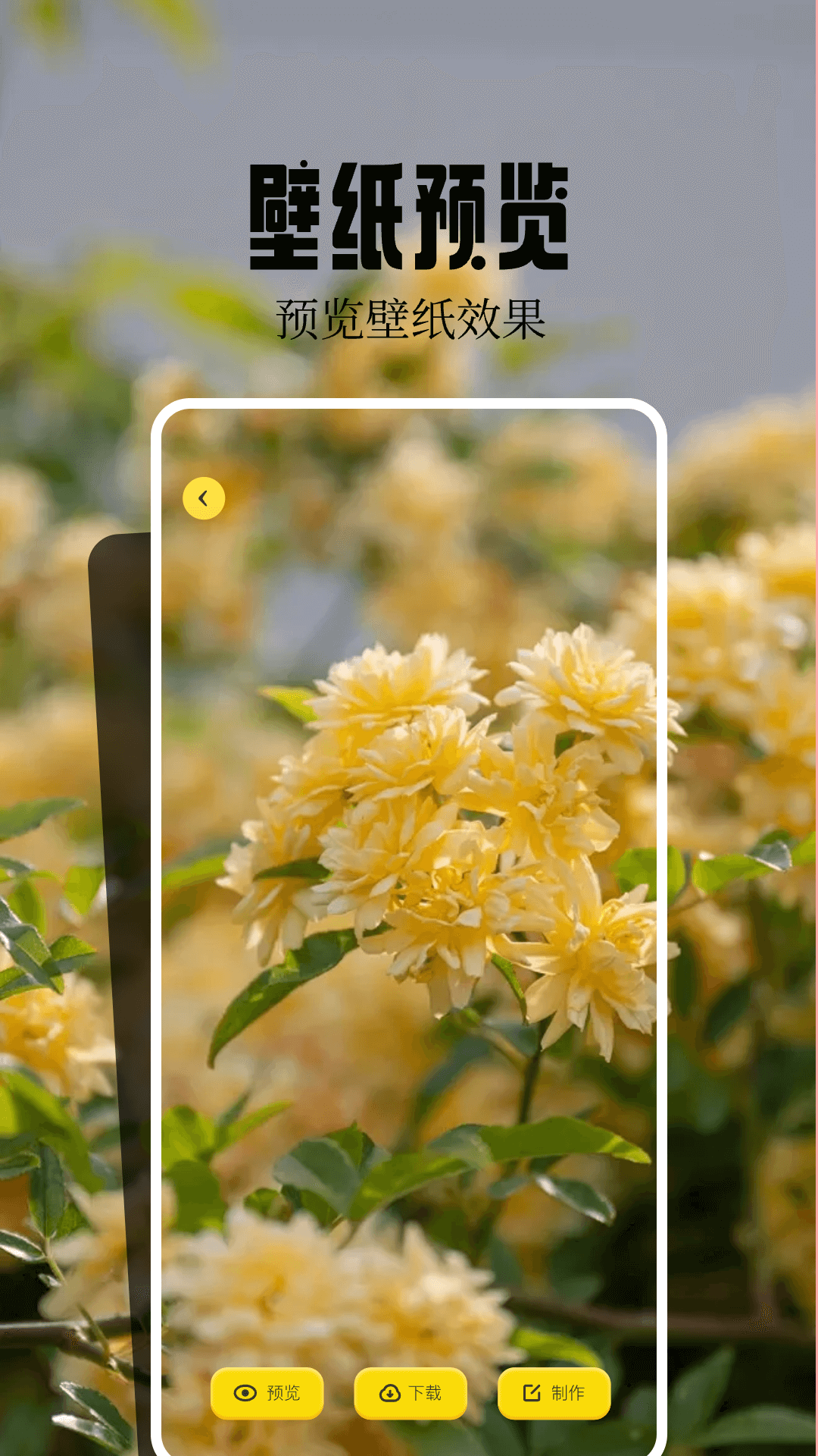 魔秀壁纸旧版截图3