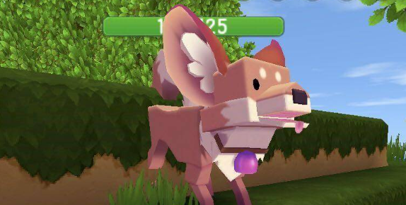 迷你世界怎么驯服狐狸