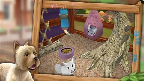 我的动物寄养所截图