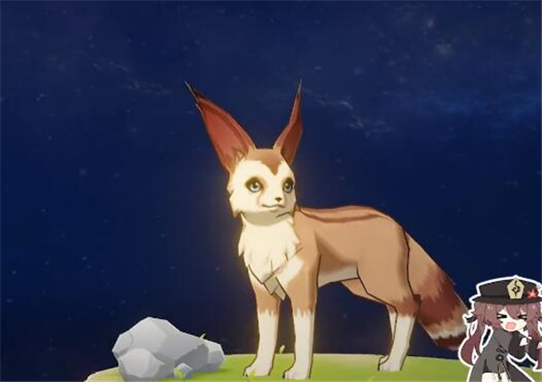 原神红狐位置攻略