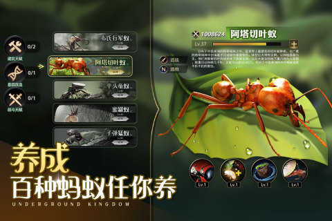 小小蚁国官方版截图1