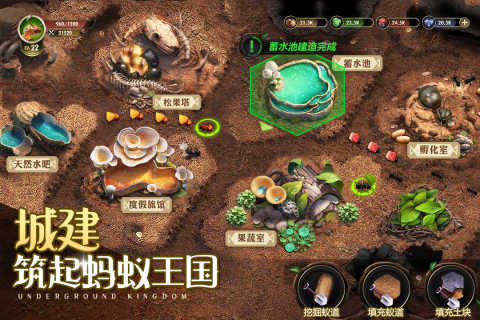 小小蚁国官方版截图2