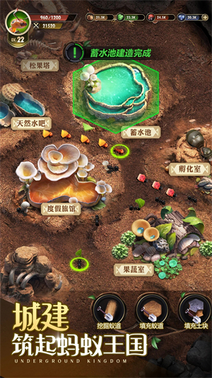 小小蚁国九游版截图1