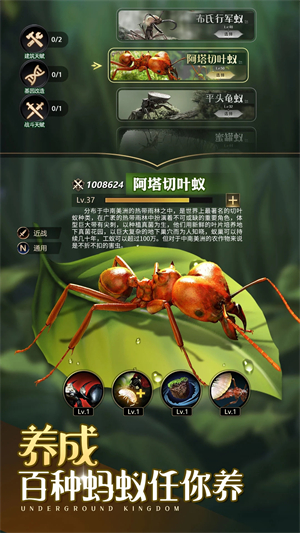 小小蚁国九游版截图3