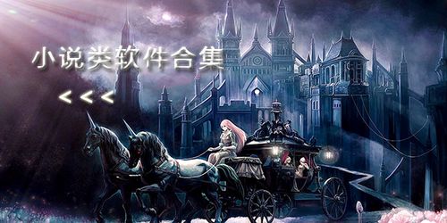 2024最全面的小说软件大全