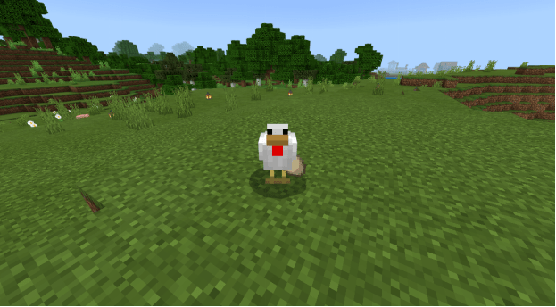 我的世界鸡吃什么 我的世界鸡吃什么东西