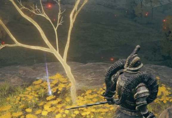 艾尔登法环黄金种子全收集攻略